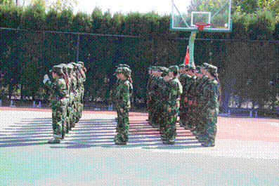 说明:图片1
